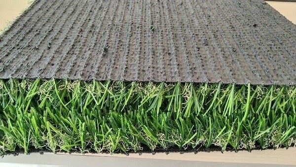 landscape grass_