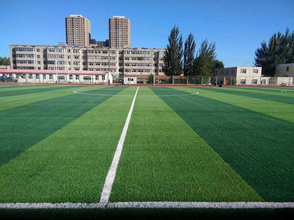 Football Grass